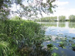 Wallercamp Lago Superiore