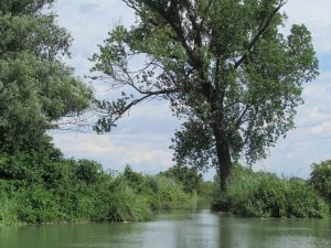Lago Superiore Natur Wallercamp