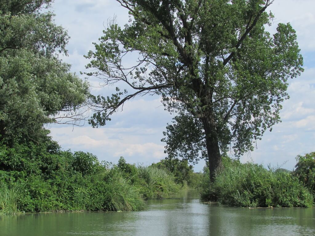 Ausblick Wallercamp Lago Superiore Lago Superiore Natur Wallercamp