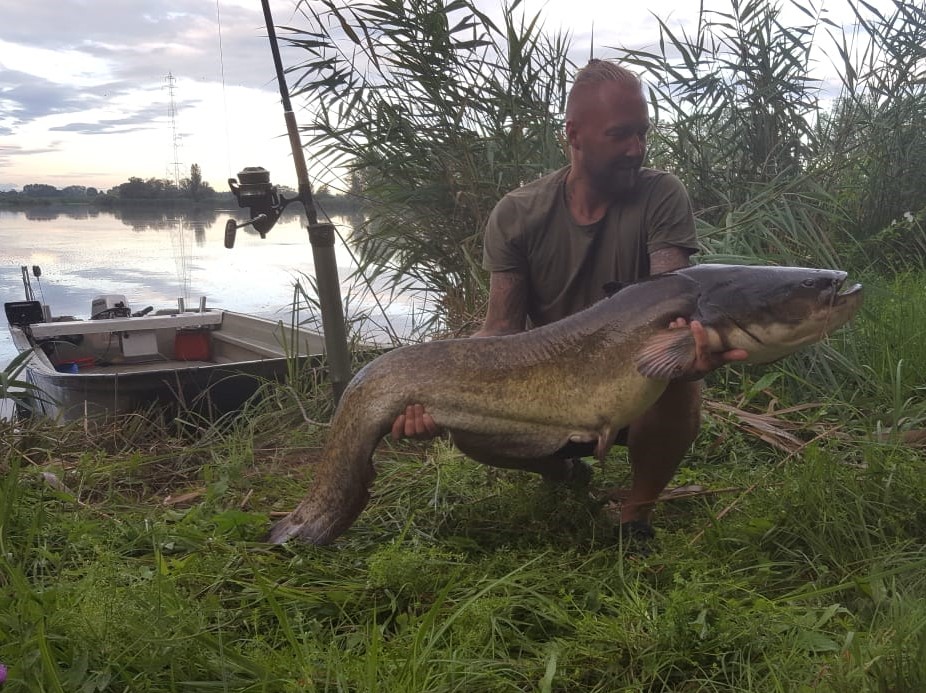 Welsfang 1,50 Meter Welsfang Lago Superiore Wallercamp