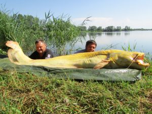 Albino Waller am Lago Superiore