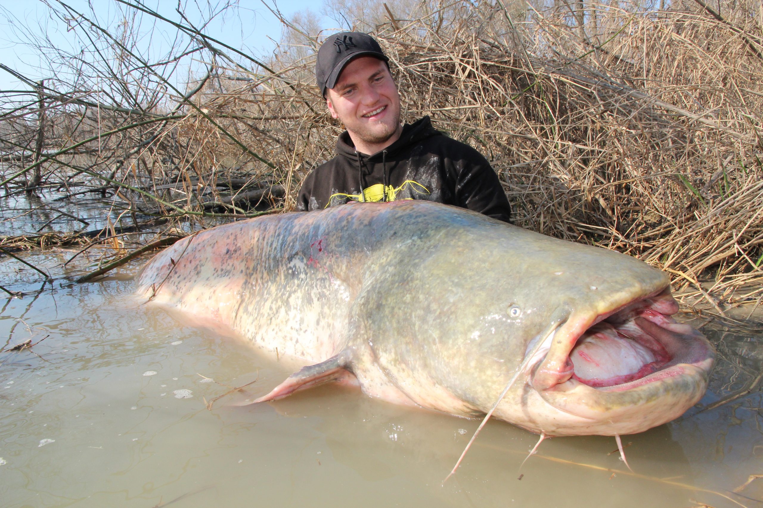 Wallercamp Lago Superiore Welsfang 3 Mega Waller am Lago Superiore