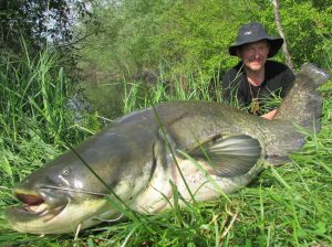 Wels 213cm Lago Superiore