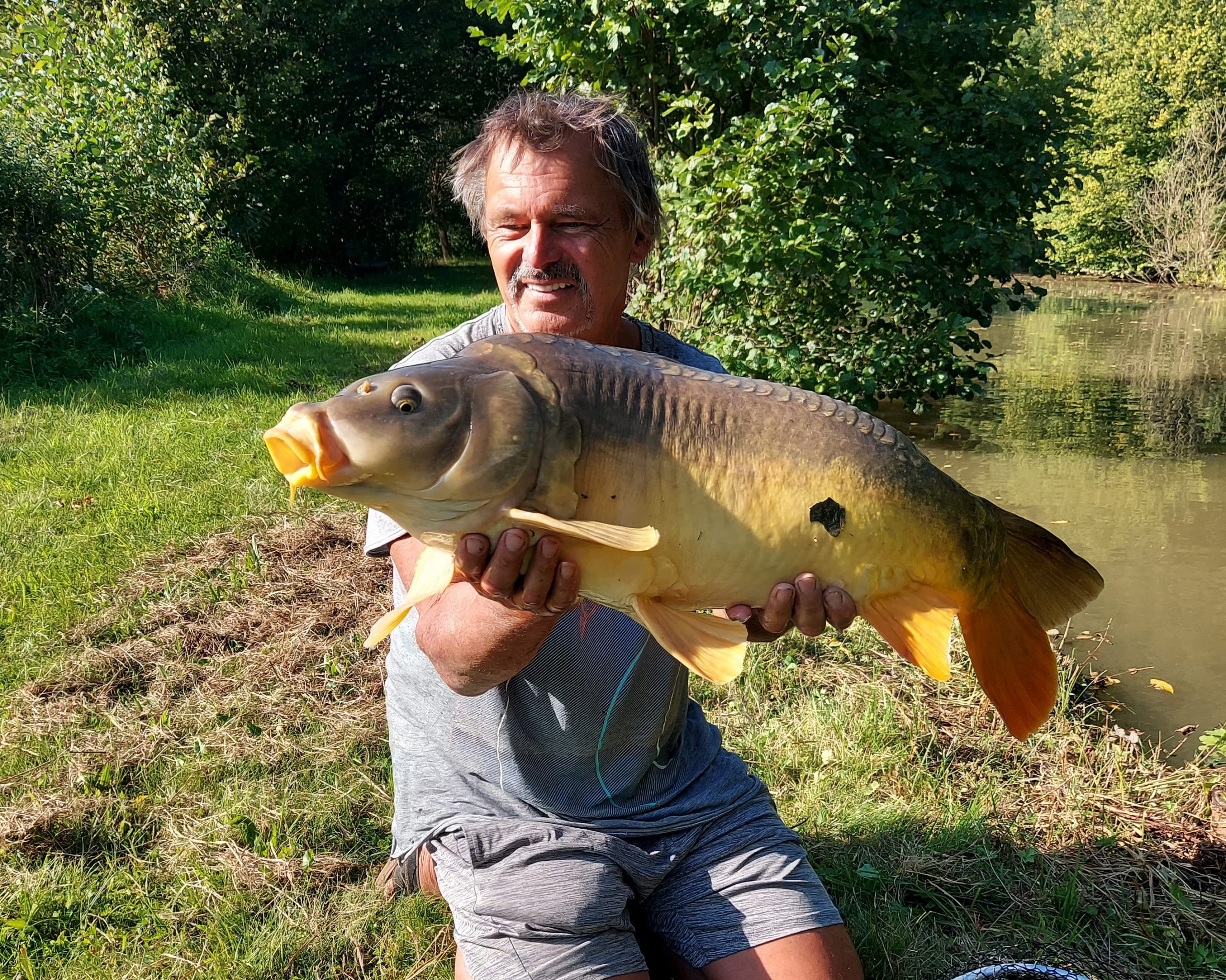Kapitaler Spiegelkarpfen Lago Superiore Wallercamp 