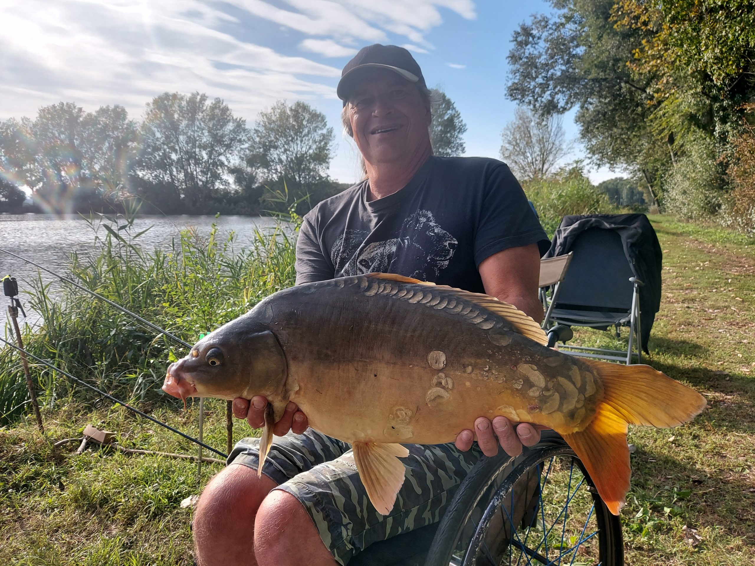 Schuppenkarpfen im Wallercamp Kapitaler Fang Schuppenkarpfen