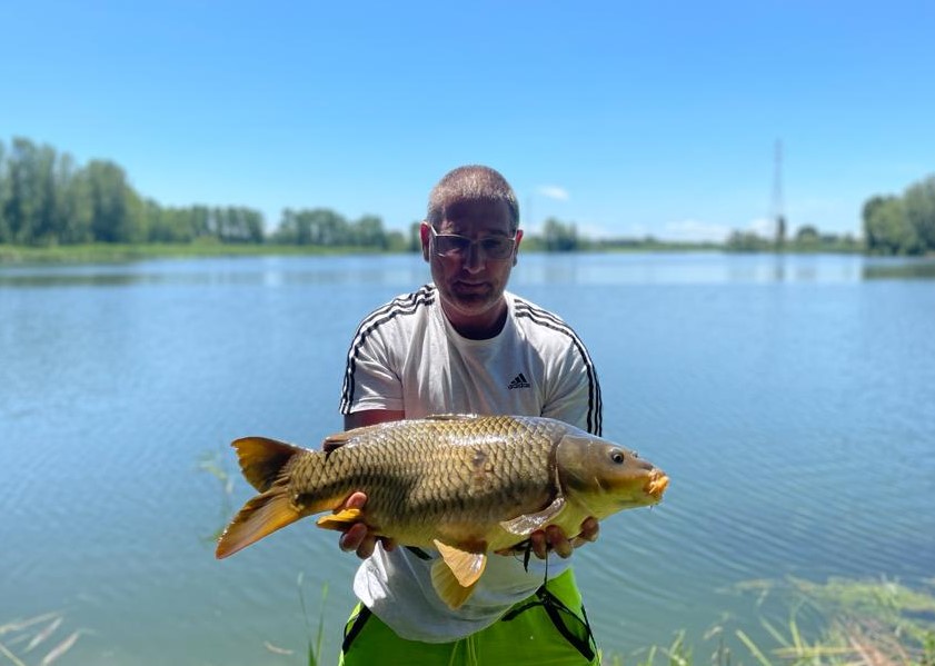 Kleiner Schuppenkarpfen Lago Superiore Kleiner Schuppenkarpfen im Wallercamp