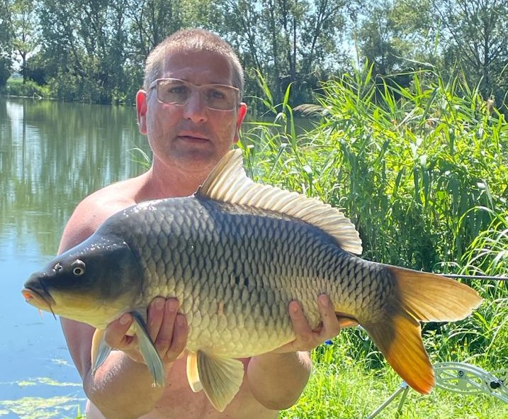 Schuppenkarpfen Wallercamp Lago Superiore Kapitaler Fang eines wunderschönen Schuppenkarpfen