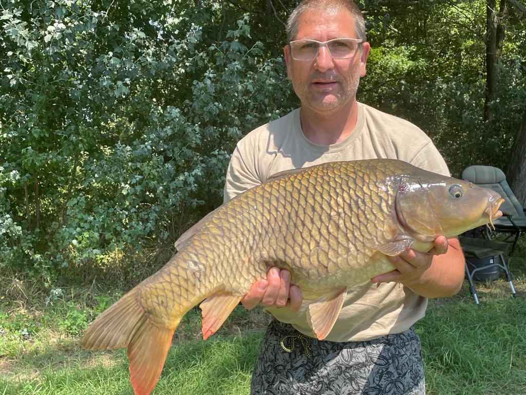 Schuppenkarpfen Wallercamp Lago Superiore Kapitaler Fang Schuppenkarpfen
