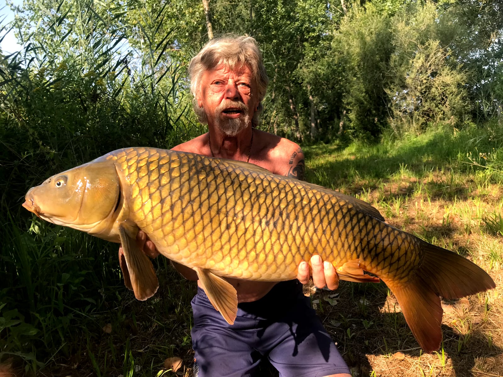 Schuppenkarpfen im Wallercamp Kapitaler Fang Schuppenkarfen Stromlinienförmig