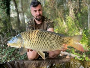 Kapitaler Fang Schuppenkarpfen eines Gastes