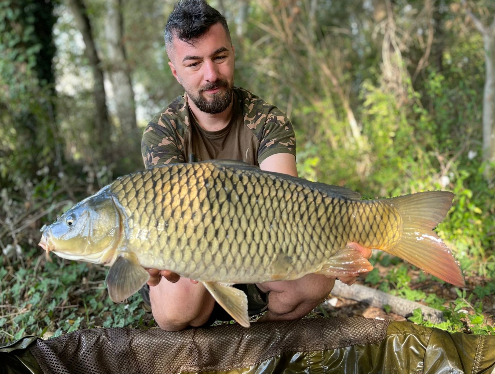 Schuppenkarpfen Wallercamp Lago Superiore Kapitaler Fang Schuppenkarpfen eines Gastes