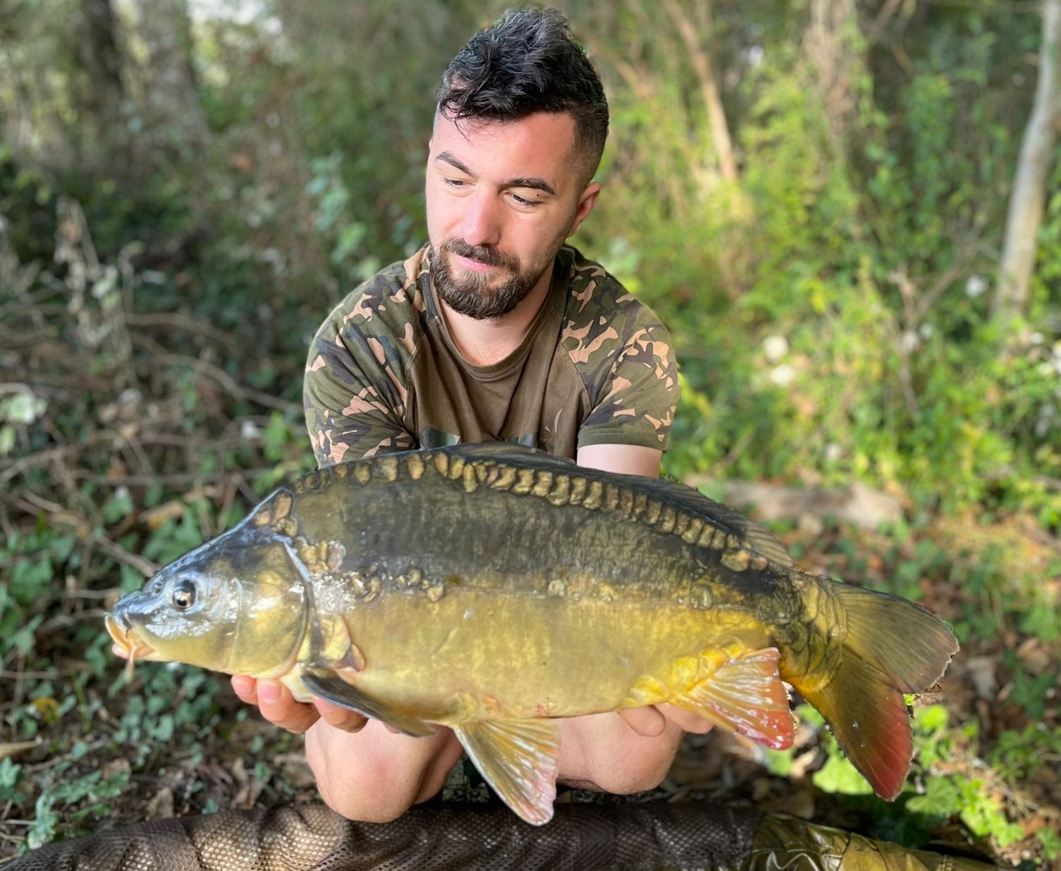 Spiegelkarpfen Wallercamp Spiegelkarpfen Wallercamp Lago Superiore