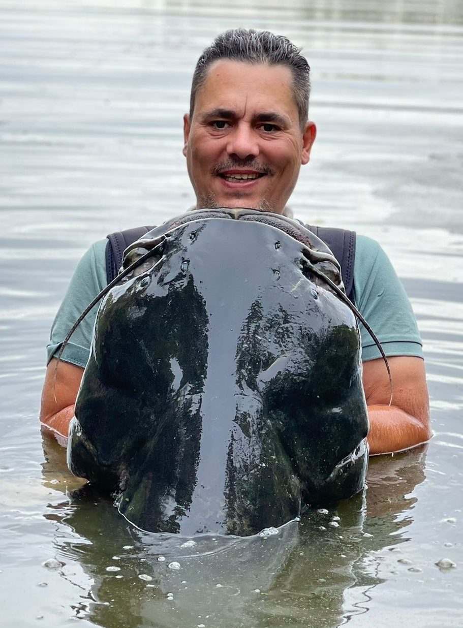 Wallercamp Lago Superiore Welsfang Wels Lago Superiore