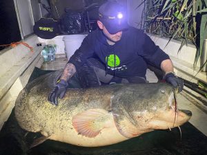 Dikcer Waller am Lago Superiore