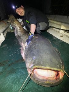 Wels 195cm Lago Superiore Wallercamp