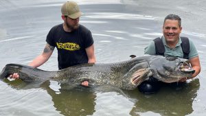 Wels 196cm Lago Superiore