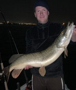 Wunderschöne Hechte am Lagosuperiore