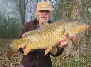 Karpfen im Wallercamp Lago Superiore