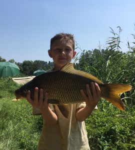 Karpfen im Wallercamp Lago Superiore