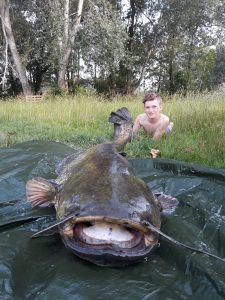 Wallercamp Lago Superiore