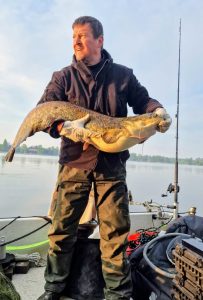 Waller aus dem Wallercamplagosuperiore