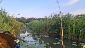Wallercamp Lago Superiore