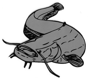 Wallercamp Lago Superiore